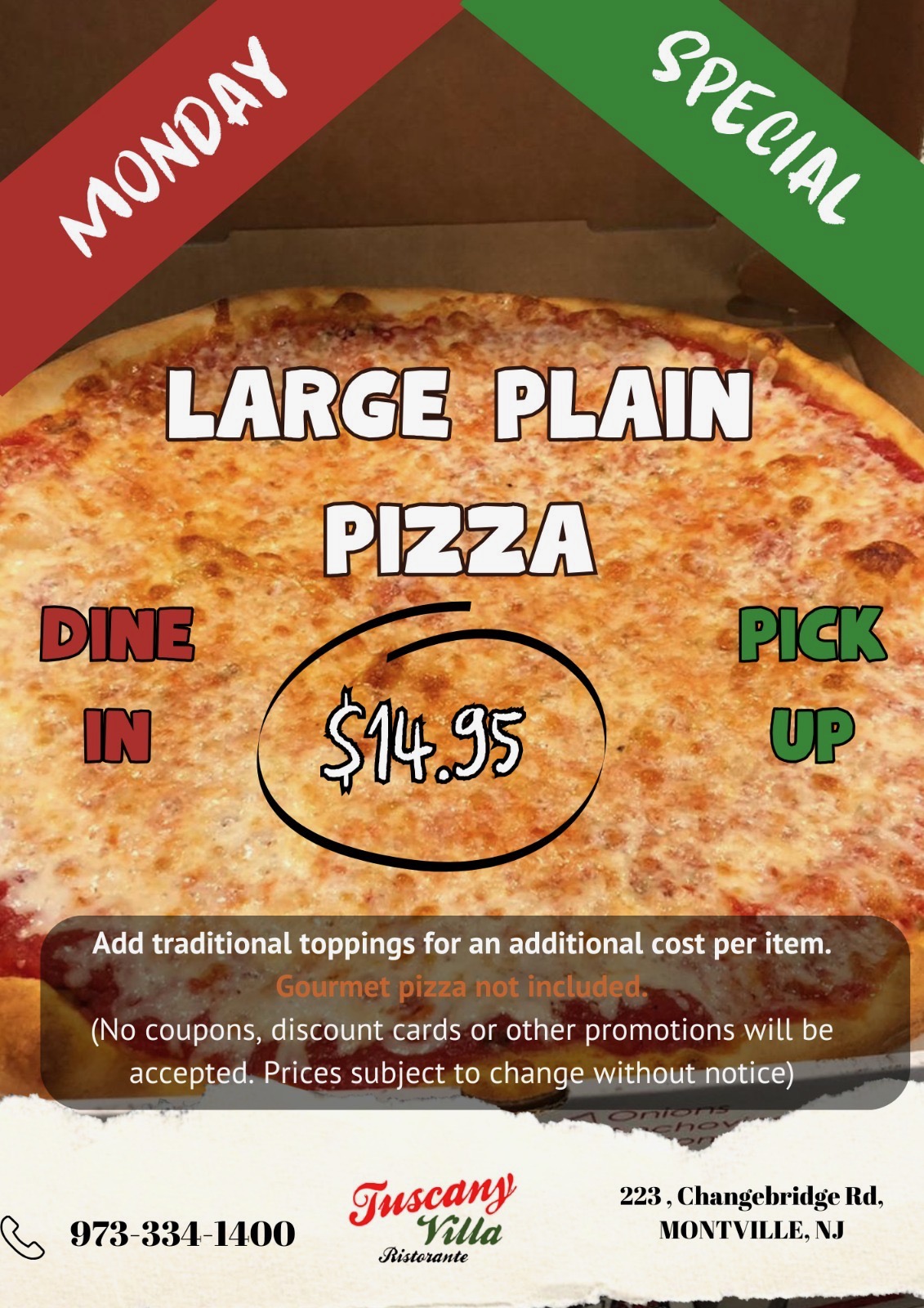 largeplainpizza